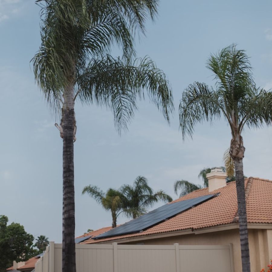 solar panels on a house surrounded by palm trees
