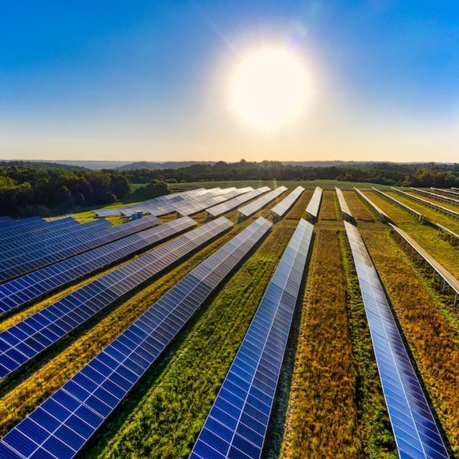 a farm with many solar panels