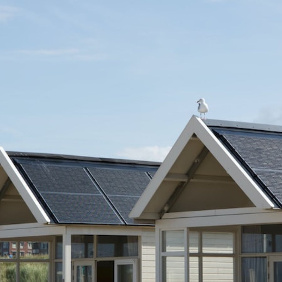 solar panels on green houses